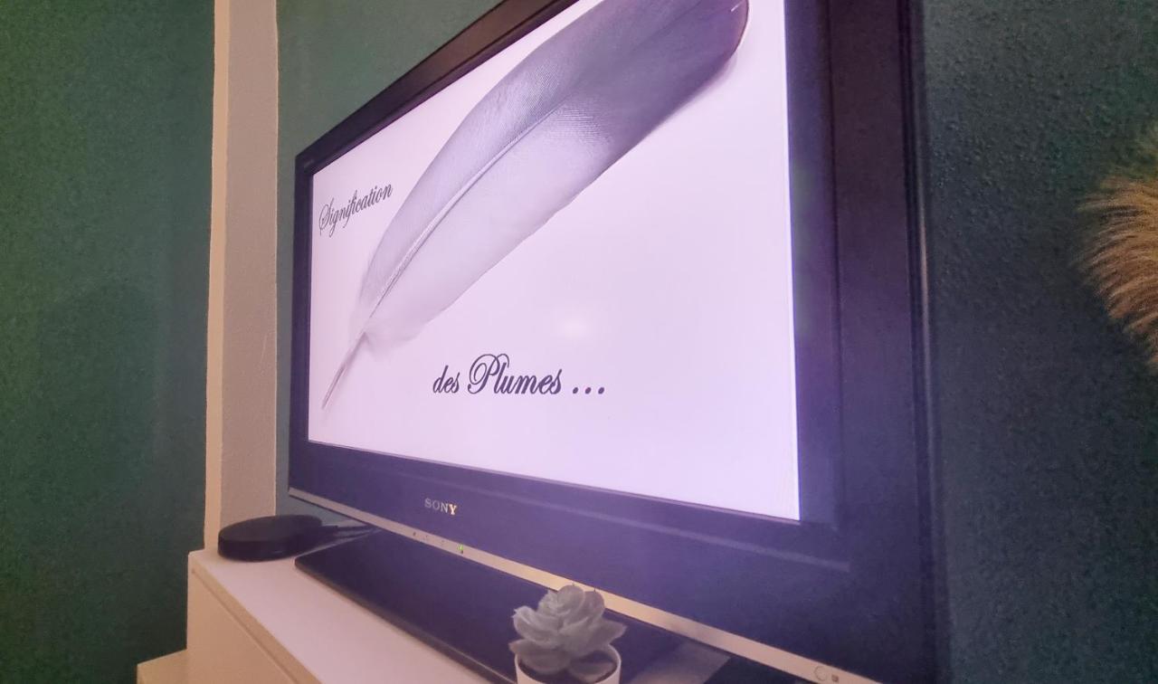 Soultz-Haut-Rhin La Plume De Jais - Famille Ou Travail- Fibre - Confortable מראה חיצוני תמונה