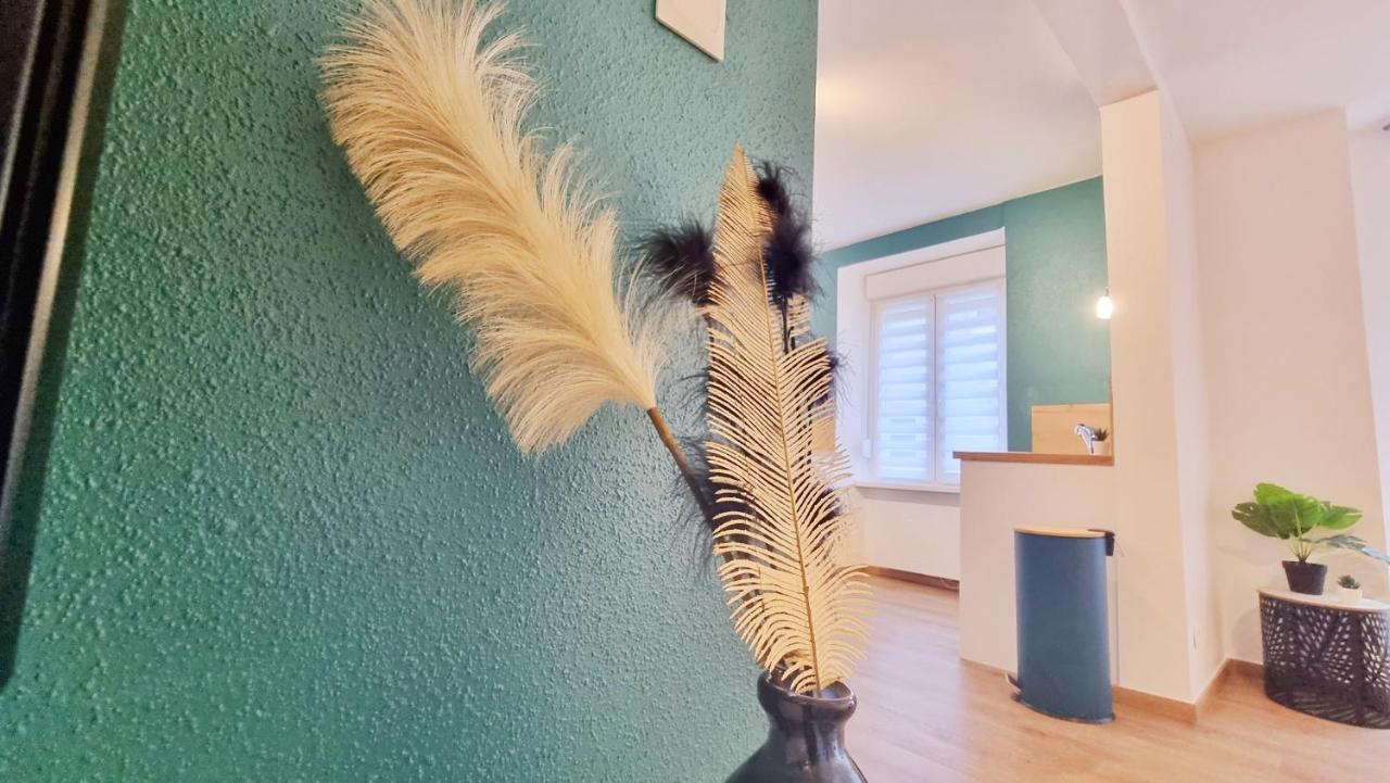 Soultz-Haut-Rhin La Plume De Jais - Famille Ou Travail- Fibre - Confortable מראה חיצוני תמונה